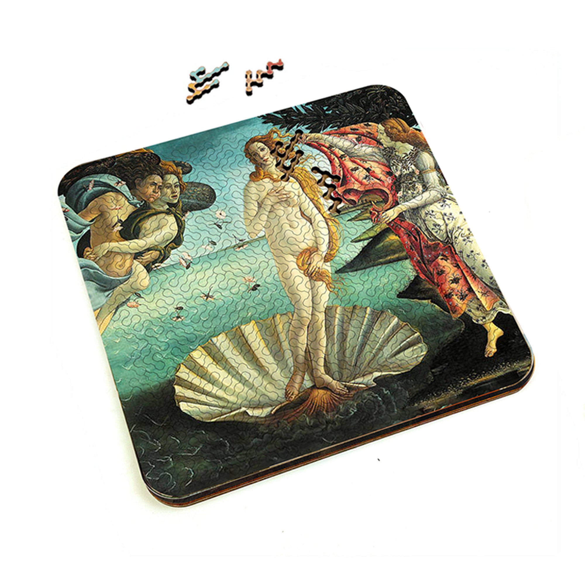 Torched Products Puzzle Mind Bending Puzzle- Birth of Venus