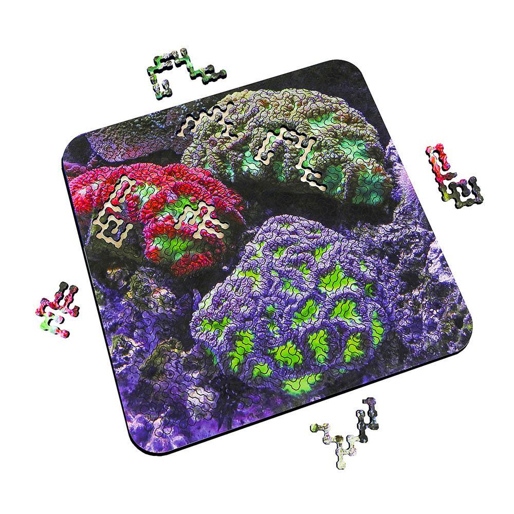 Torched Products Puzzle Mind Bending Puzzle - Brain Coral