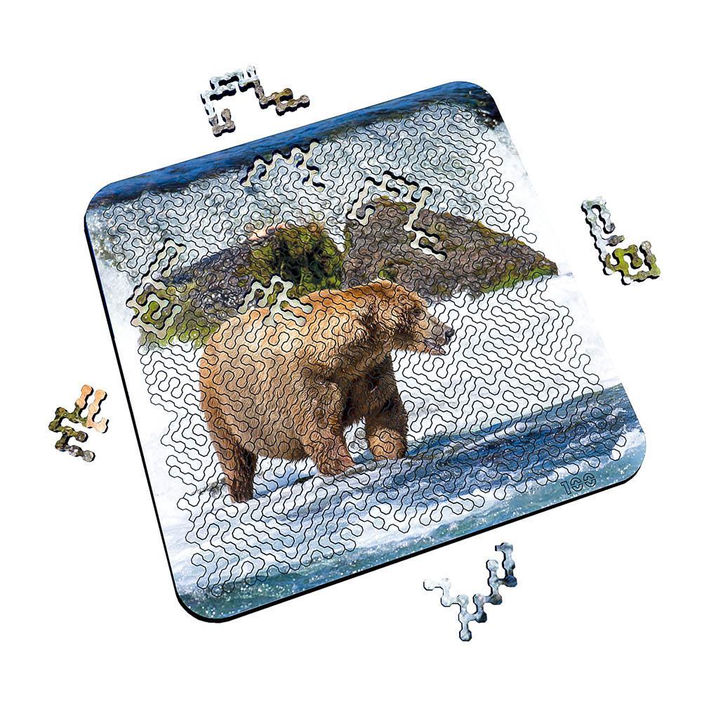Torched Products Puzzle Mind Bending Puzzle - Brown Bear