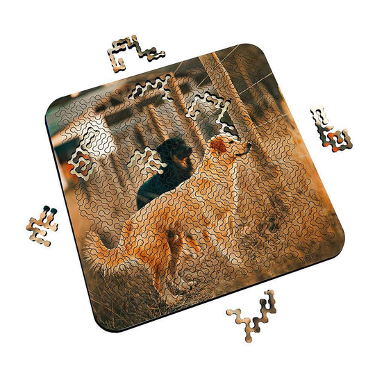 Torched Products Puzzle Mind Bending Puzzle - Dogs at the Fence