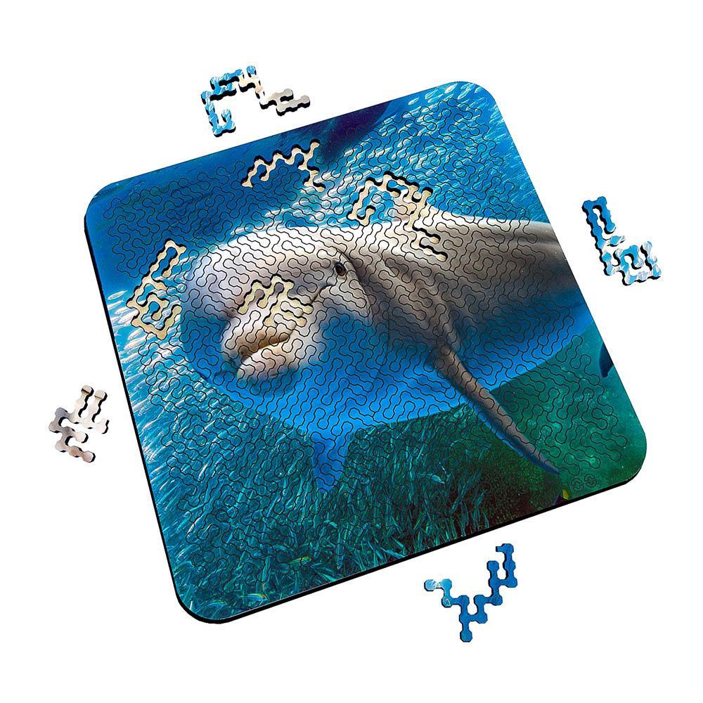 Torched Products Puzzle Mind Bending Puzzle - Dolphin Smiles