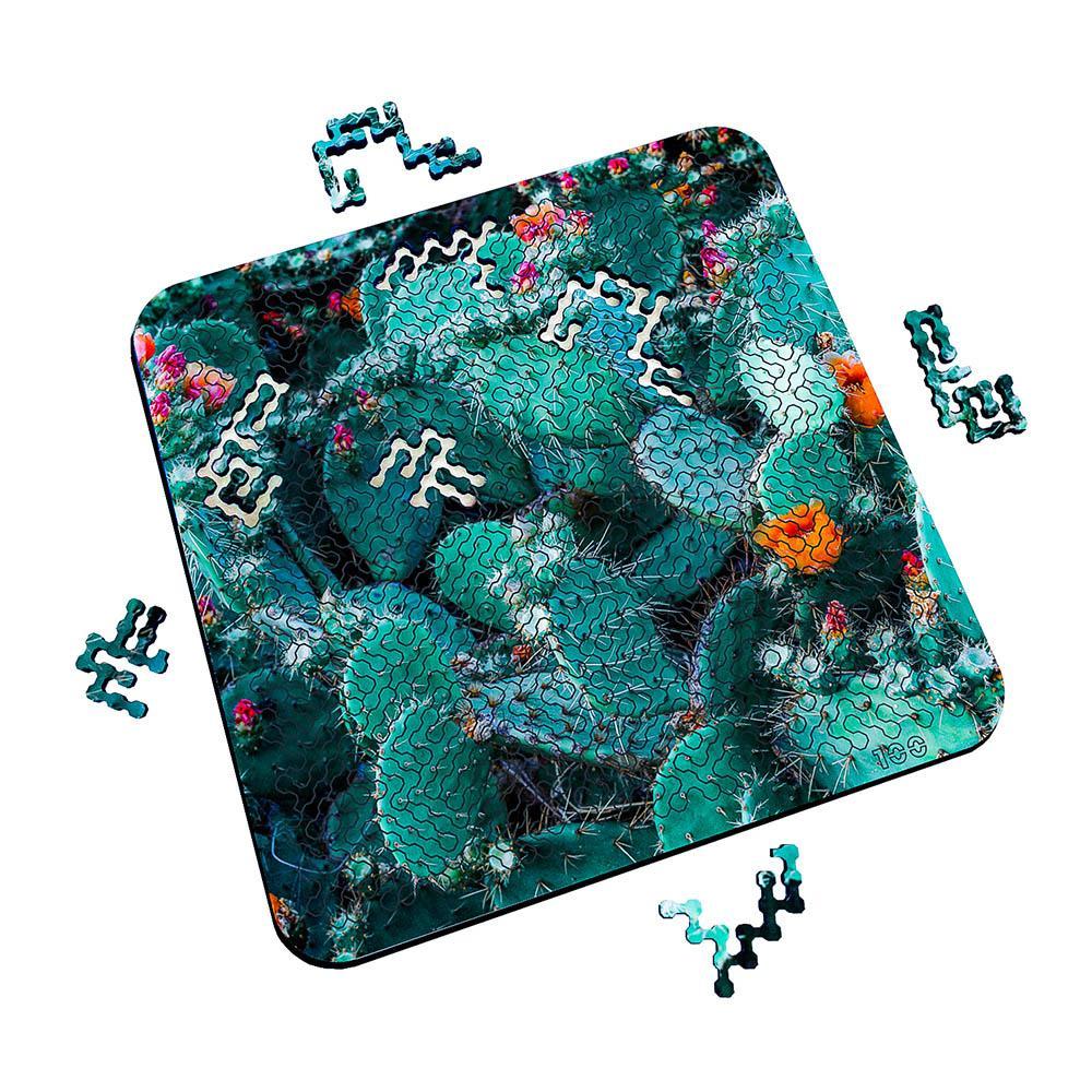 Torched Products Puzzle Mind Bending Puzzle - Flowering Cacti