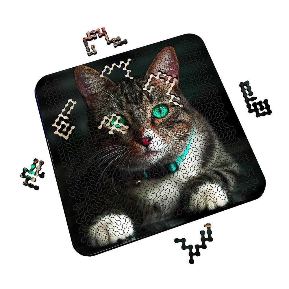 Torched Products Puzzle Mind Bending Puzzle - Green Eyes