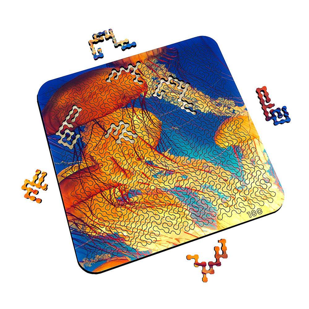 Torched Products Puzzle Mind Bending Puzzle - Jellyfish Dance