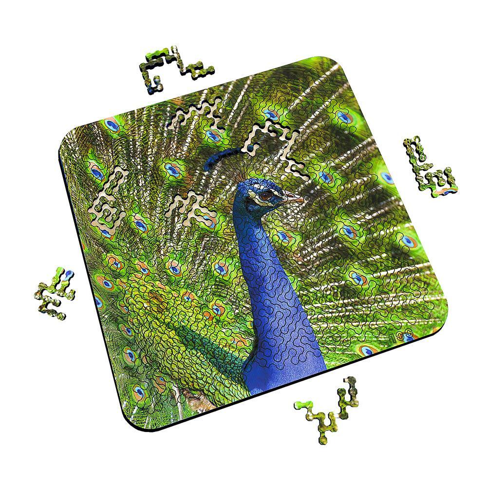 Torched Products Puzzle Mind Bending Puzzle - Peacock&#39;s Pride
