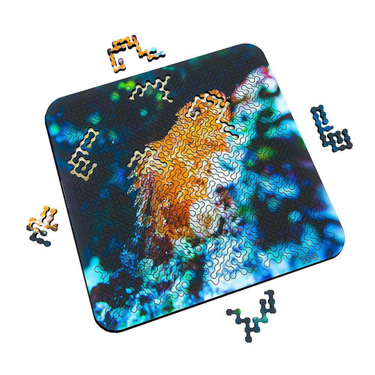 Torched Products Puzzle Mind Bending Puzzle - Rockfish