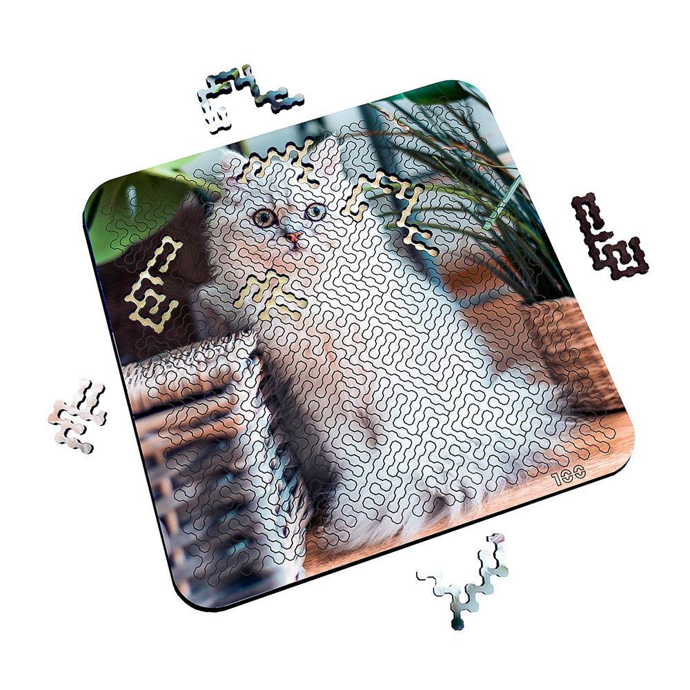 Torched Products Puzzle Mind Bending Puzzle - Smitten with the Kitten