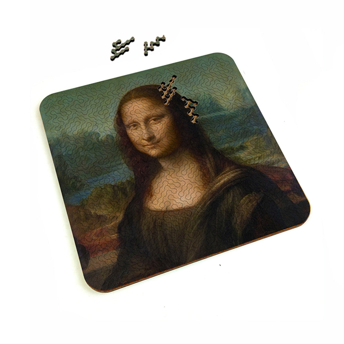 Torched Products Puzzle Mind Bending Puzzle- The Mona Lisa