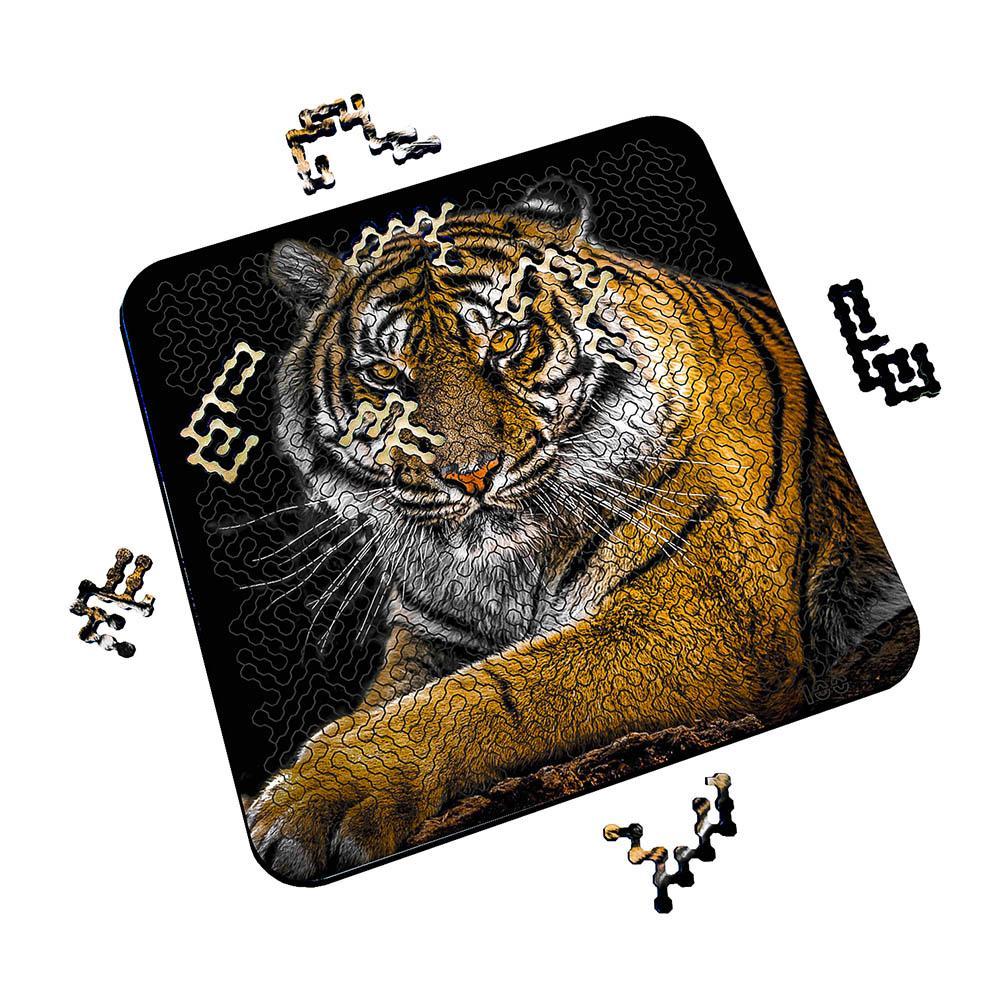 Torched Products Puzzle Mind Bending Puzzle - Tiger Stare